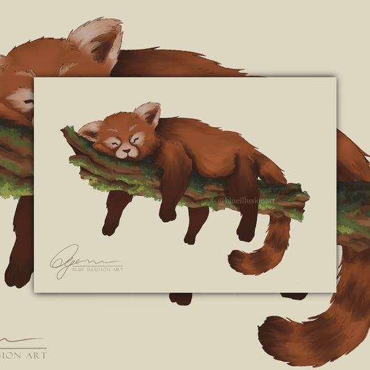Red Panda | Postcard