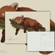 Red Panda | Postcard