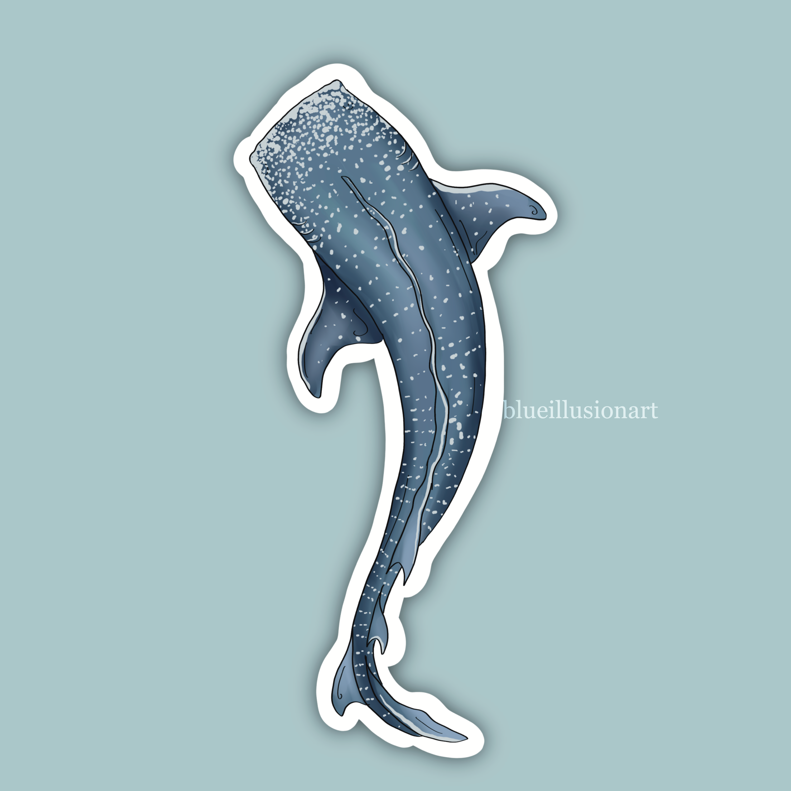 Whale Shark | Single Sticker